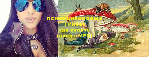 дурь Арсеньев