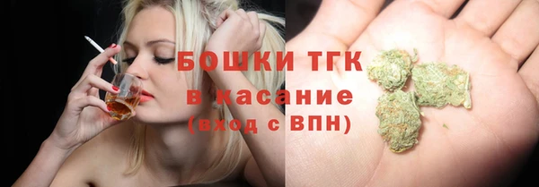 дурь Арсеньев