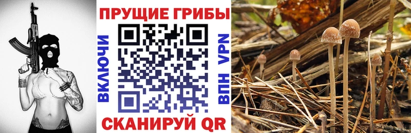 Псилоцибиновые грибы Magic Shrooms  Серов 